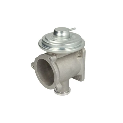 Abbildung von ENGITECH ENT500075 AGR Ventil BMW: 3 Touring, X3, Saloon