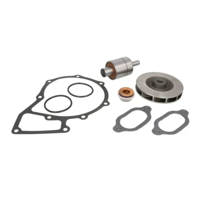 Abbildung von DT Spare Parts 4.90921 Reparatursatz, Wasserpumpe