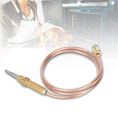 Abbildung von DEWIN Thermoelement,Thermoelement Gasthermoelement M8 Gewindeheizung Sonde 600mm für Kamingrillzubehör