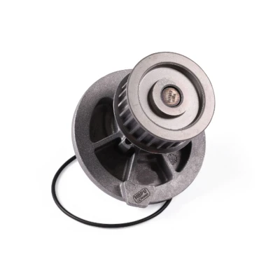 Abbildung von HEPU P328 Wasserpumpe 25 mit Dichtung Froststopfen, Riemenscheibe aufgepresst mechanisch OPEL: Zafira B, Astra H GTC, G Caravan
