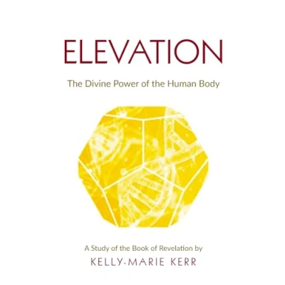Abbildung von ELEVATION: The Divine Power of Human Body