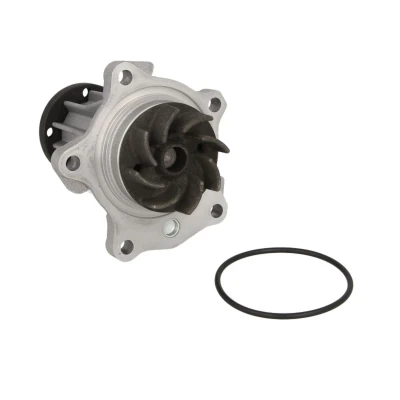 Abbildung von HEPU P220 Wasserpumpe mit Dichtung Flansch mechanisch FORD: Transit Mk5 Minibus, Mk6 Platform / Chassis, Mk4 Platform/Chassis