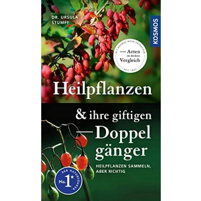 Abbildung von Heilpflanzen und ihre giftigen Doppelgänger: sammeln, aber richtig, Arten im direkten Vergleich, 90 60 unwirksame giftige Doppelgänger