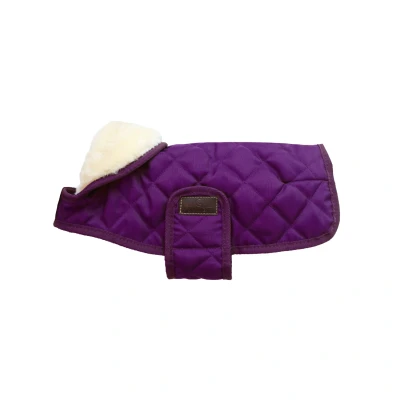 Abbildung von Kentucky Hundejacke Original Royal Violett 25cm