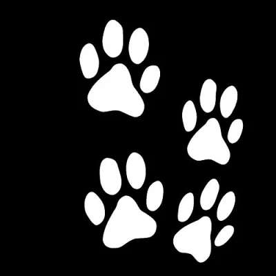 Abbildung von Finest Folia 12er Set Hundepfoten je 6x6 cm Pfoten Pfötchen Hund Katze Aufkleber Sticker für Auto Motorrad Wand Laptop Möbel (K015 WeißGlanz)