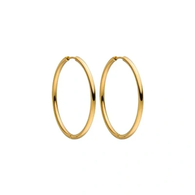 Abbildung von PURELEI® Echo Ohrringe, (Gold, Silber, Rosegold), Wasserfeste Ohrringe für Damen, Creolen aus Edelstahl, Geschenk Frauen, 40mm Durchmesser (Gold)