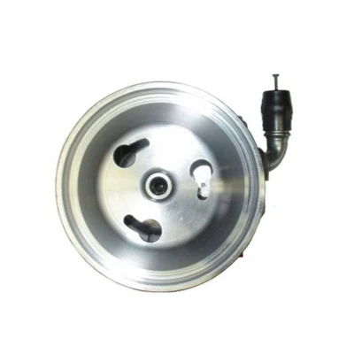 Abbildung von Hydraulikpumpe, Lenkung SPIDAN 53603