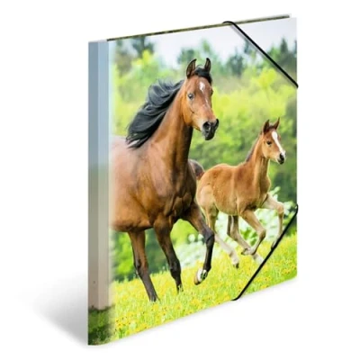 Abbildung von HERMA 7140 Sammelmappe DIN A4 Tiere Pferde, 3er Set, stabiler Kunststoff, Ordnungsmappe mit bedruckten Innenklappen und Gummizug, Dokumentenmappe für Kinder, Jungen Mädchen
