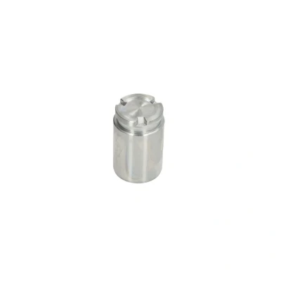 Abbildung von AUTOFREN SEINSA D025620 Kolben, Bremssattel 34 Hinterachse TRW