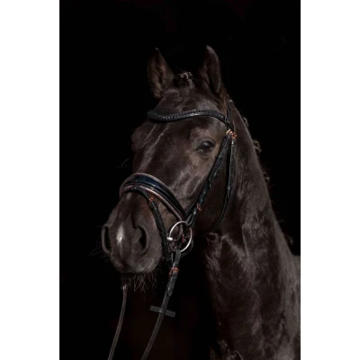 Abbildung von HKM Zaum Sofia Schwarz/Roségold Warmblut