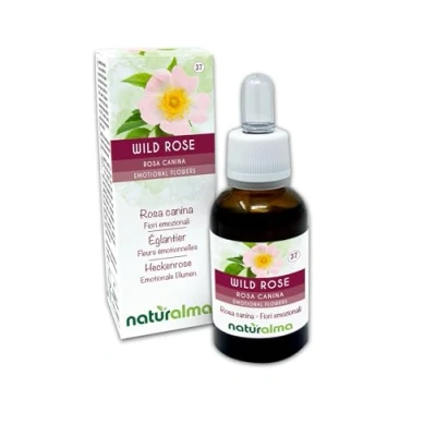 Abbildung von Wild rose oder Heckenrose (Rosa canina) Bach Blüten Naturalma Tropfen 30 ml Alkoholfreier Flüssigextrakt Blütenessenzen Vegan und alkoholfrei