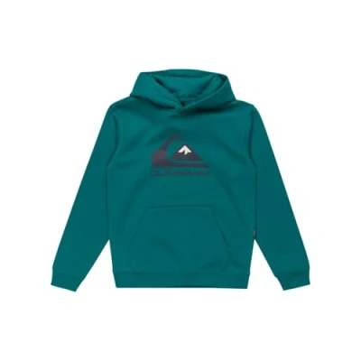 Abbildung von Quiksilver BIG LOGO Hoodie Youth Unisex Kapuzenpullover für Kinder, Größe: 164, Teal green