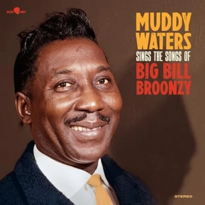 Abbildung von Sings the Songs of Big Bill Broonzy (180g Vinyl) [Vinyl LP]