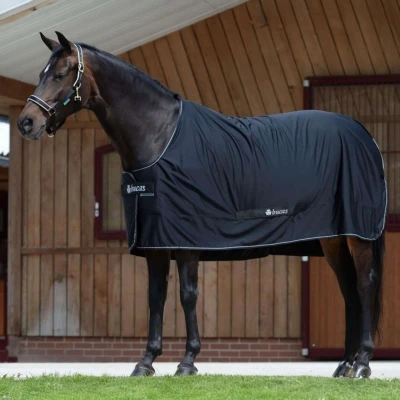 Abbildung von Bucas Shamrock Power Black