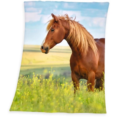 Abbildung von Herding Young Collection Fleece Kuscheldecke, Pferde Motiv, 130 x 160 cm, Polyester