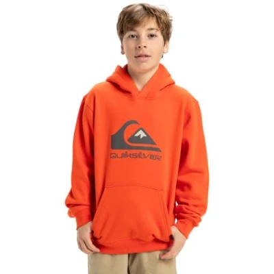 Abbildung von Quiksilver BIG LOGO Hoodie Youth Unisex Kapuzenpullover für Kinder, Größe: 152, Chamois