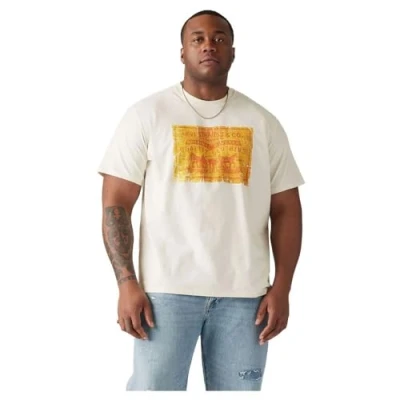 Abbildung von Levi&#039;s Plus Relaxed FIT TEE Tshirt print, Herren, Größe: 2XL, archival 2hp patch egret