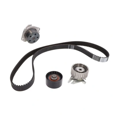 Abbildung von CONTITECH CT877WP1 Wasserpumpe + Zahnriemensatz 168 ALFA ROMEO: 166, Spider, 156 Sportwagon, FIAT: Coupe