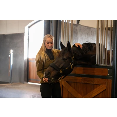 Abbildung von Catago FW&#039;24 FIR Tech Grand Halter