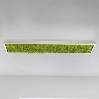 Abbildung von JUST LIGHT Deckenleuchte »GREEN KNUT«, 1 flammig, Leuchtmittel LED Board fest integriert