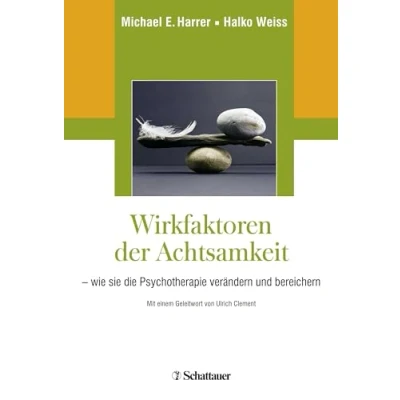 Abbildung von Wirkfaktoren der Achtsamkeit: wie sie die Psychotherapie verändern und bereichern