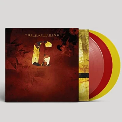 Abbildung von Accessories Rarities and B Sides [Vinyl LP]