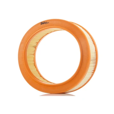 Abbildung von PURFLUX A575 Luftfilter 62 245 Filtereinsatz RENAULT: 11 Hatchback, 19 II Van, Super 5 Hatchback