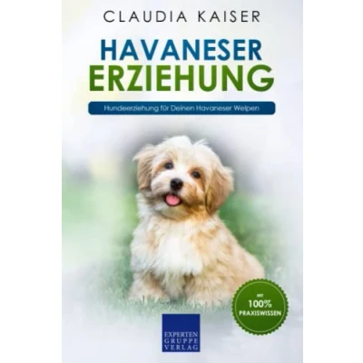 Abbildung von Havaneser Erziehung: Hundeerziehung für Deinen Welpen
