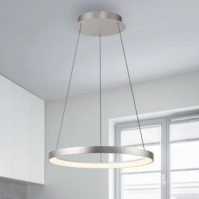 Abbildung von Paul Neuhaus Pendelleuchte »HOOP«, 1 flammig, Leuchtmittel LED Board fest integriert, LED, dimmbar, Simply Dim, Memory, nach Trennung vom Netz, Comfort Lift