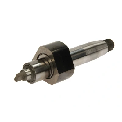 Abbildung von Exzenterwelle, Common Rail System Pumpe BOSCH F 00N 202 845