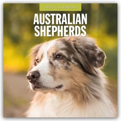 Abbildung von Australian Shepherds Shepherd 2025 16 Monatskalender: Original Red Robin Publishing Ltd Kalender [Mehrsprachig] [Kalender] (Wall Kalender)