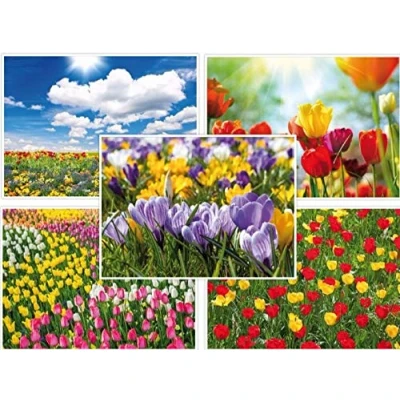 Abbildung von Edition Colibri FRÜHLING Postkarten Set (10 St.) 5 verschiedene Motive von Tulpen, Osterglocken und Krokussen