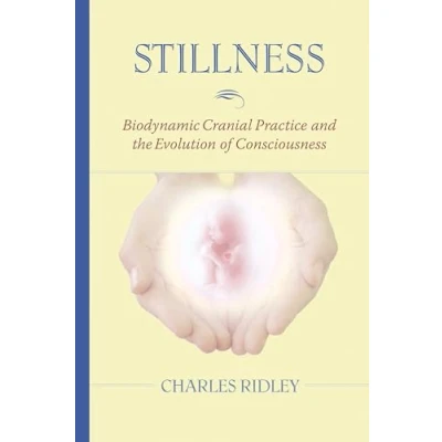 Abbildung von Stillness: Biodynamic Cranial Practice and the Evolution of Consciousness