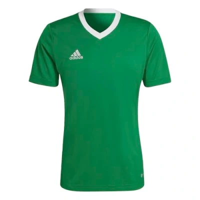 Abbildung von adidas Herren Entrada 22 Jersey, Team Green/White, XS