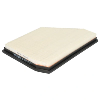 Abbildung von FILTRON AP 030/8 Luftfilter 36mm 198mm 288mm Filtereinsatz BMW: X5