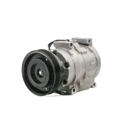 Abbildung von NISSENS 89576 Kompressor 10S15L 12 PAG 46 R 134a TOYOTA: RAV4 II Off Road