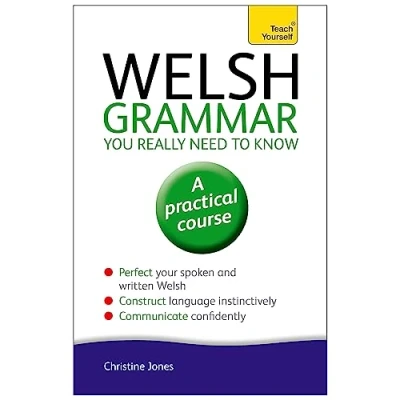 Abbildung von Welsh Grammar You Really Need to Know: Teach Yourself
