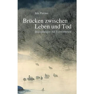 Abbildung von Brücken zwischen Leben und Tod: Begegnungen mit Verstorbenen