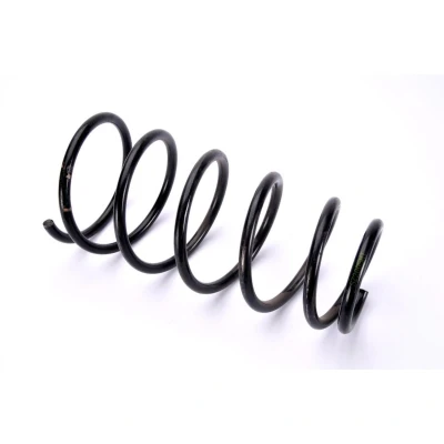 Abbildung von Magnum Technology SZ2005MT Fahrwerksfeder Hinterachse