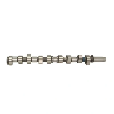 Abbildung von AMC 669851 Nockenwelle FORD: Galaxy Mk2 MPV