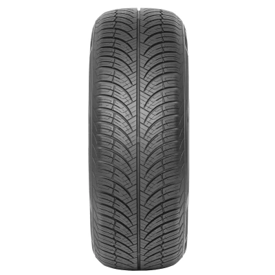 Abbildung von ARIVO CARLORFUL A/S 205/55 R17 95W PKW Ganzjahresreifen Reifen 2EAR444F