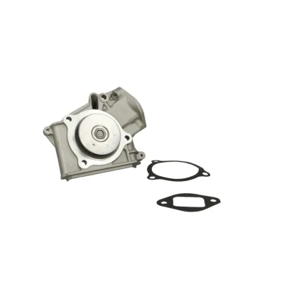 Abbildung von THERMOTEC D10316TT Wasserpumpe mit Dichtung für Keilrippenriementrieb