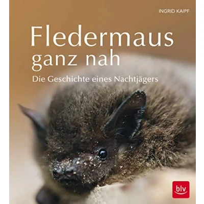 Abbildung von Fledermaus ganz nah: Die Geschichte eines Nachtjägers (BLV Natur)