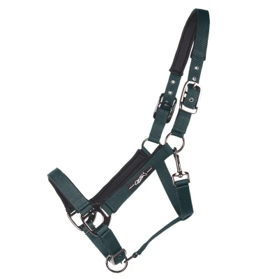 Abbildung von QHP Halter Deluxe