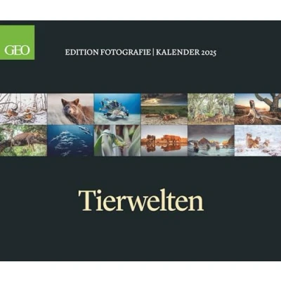 Abbildung von GEO Edition Tierwelten Wandkalender 2025 Beeindruckender Kalender für Tierfotografie, Großformat 70x60 cm, mit Einzigartigen Aufnahmen aus der Tierwelt: Posterkalender