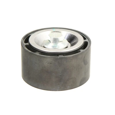 Abbildung von DAYCO APV3064 Umlenkrolle