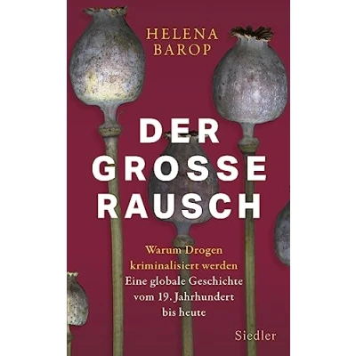 Abbildung von Der große Rausch: Warum Drogen kriminalisiert werden. Eine globale Geschichte vom 19. Jahrhundert bis heute