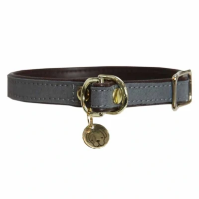 Abbildung von Kentucky Kragen Loop Grau 60cm