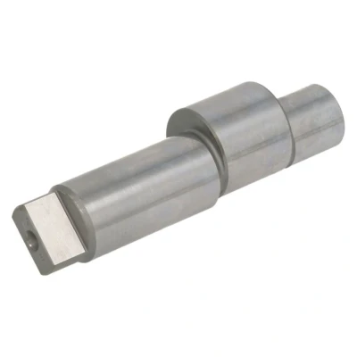 Abbildung von Exzenterwelle, Common Rail Pumpe BOSCH F 00R 0P1 112