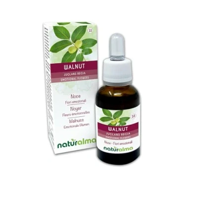 Abbildung von Walnut oder Walnuss (Juglans regia) Bach Blüten Naturalma Tropfen 30 ml Alkoholfreier Flüssigextrakt Blütenessenzen Vegan und alkoholfrei